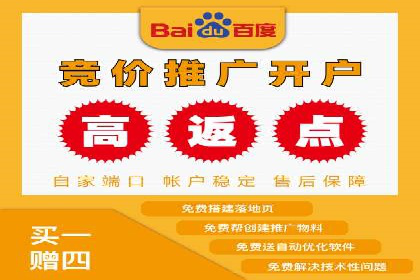 百度竞价排名实战：某行业领先企业的成功之路